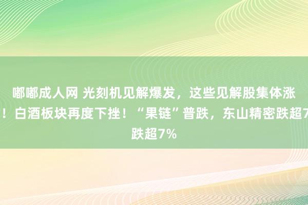 嘟嘟成人网 光刻机见解爆发，这些见解股集体涨停！白酒板块再度下挫！“果链”普跌，东山精密跌超7%