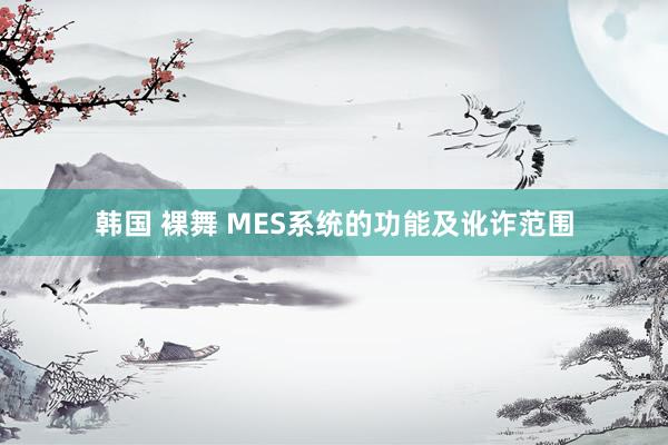 韩国 裸舞 MES系统的功能及讹诈范围