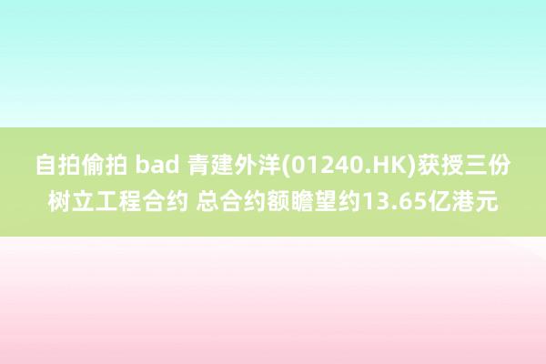 自拍偷拍 bad 青建外洋(01240.HK)获授三份树立工程合约 总合约额瞻望约13.65亿港元