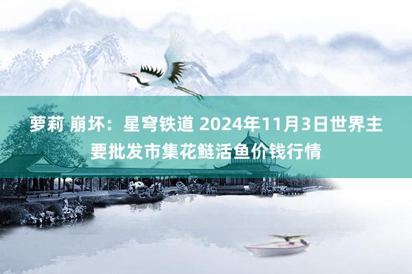 萝莉 崩坏:星穹铁道 2024年11月3日世界主要批发市集花鲢活鱼价钱行情