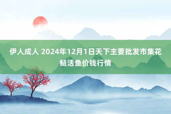 伊人成人 2024年12月1日天下主要批发市集花鲢活鱼价钱行情