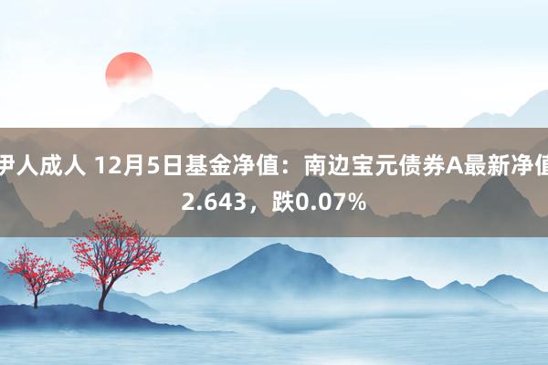 伊人成人 12月5日基金净值：南边宝元债券A最新净值2.643，跌0.07%