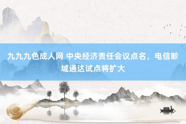 九九九色成人网 中央经济责任会议点名，电信畛域通达试点将扩大