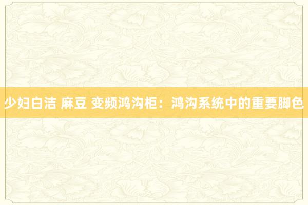 少妇白洁 麻豆 变频鸿沟柜：鸿沟系统中的重要脚色