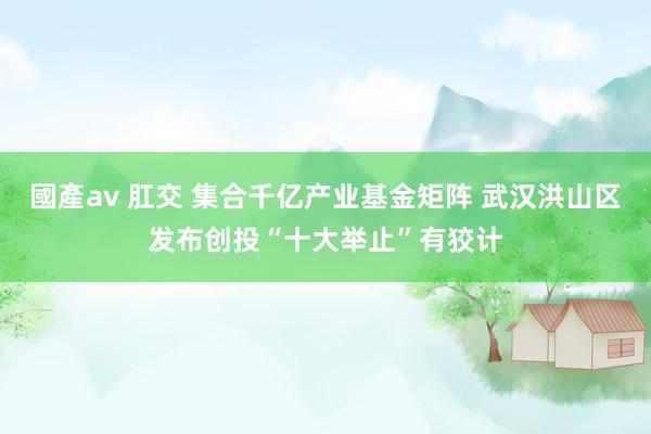國產av 肛交 集合千亿产业基金矩阵 武汉洪山区发布创投“十大举止”有狡计