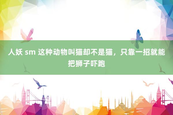 人妖 sm 这种动物叫猫却不是猫，只靠一招就能把狮子吓跑
