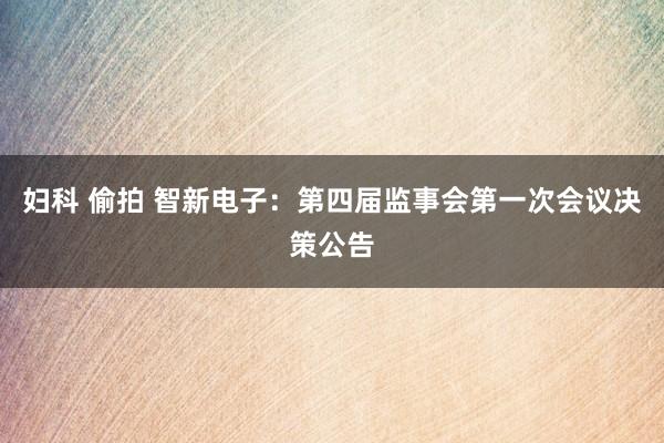 妇科 偷拍 智新电子：第四届监事会第一次会议决策公告