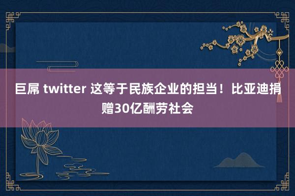 巨屌 twitter 这等于民族企业的担当！比亚迪捐赠30亿酬劳社会