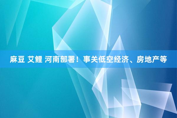 麻豆 艾鲤 河南部署！事关低空经济、房地产等