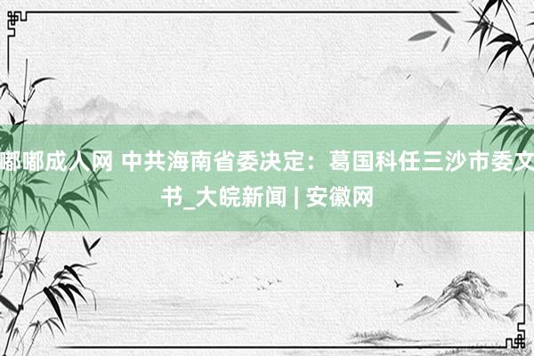 嘟嘟成人网 中共海南省委决定：葛国科任三沙市委文书_大皖新闻 | 安徽网