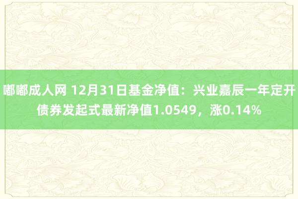 嘟嘟成人网 12月31日基金净值：兴业嘉辰一年定开债券发起式最新净值1.0549，涨0.14%