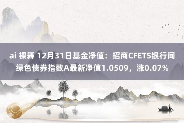 ai 裸舞 12月31日基金净值：招商CFETS银行间绿色债券指数A最新净值1.0509，涨0.07%