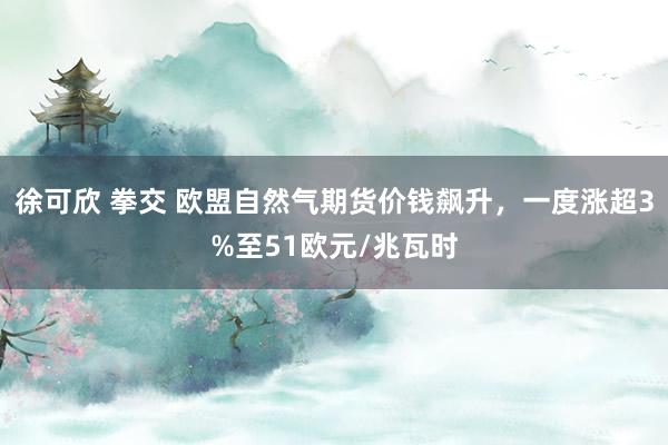 徐可欣 拳交 欧盟自然气期货价钱飙升，一度涨超3%至51欧元/兆瓦时