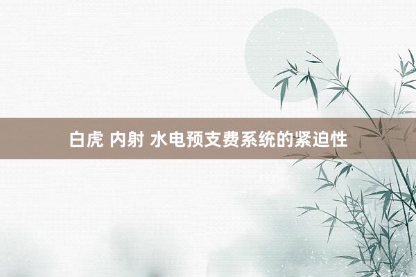 白虎 内射 水电预支费系统的紧迫性