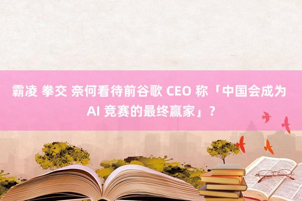 霸凌 拳交 奈何看待前谷歌 CEO 称「中国会成为 AI 竞赛的最终赢家」？