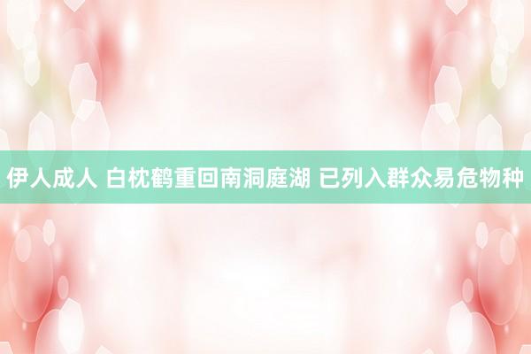 伊人成人 白枕鹤重回南洞庭湖 已列入群众易危物种