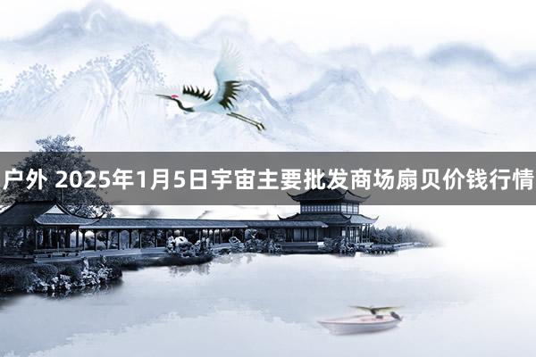 户外 2025年1月5日宇宙主要批发商场扇贝价钱行情