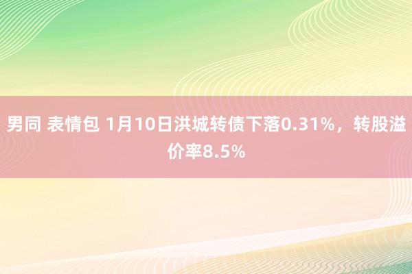 男同 表情包 1月10日洪城转债下落0.31%，转股溢价率8.5%
