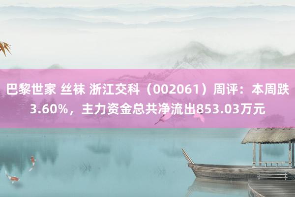 巴黎世家 丝袜 浙江交科（002061）周评：本周跌3.60%，主力资金总共净流出853.03万元