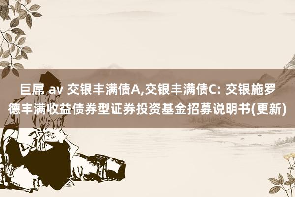 巨屌 av 交银丰满债A,交银丰满债C: 交银施罗德丰满收益债券型证券投资基金招募说明书(更新)