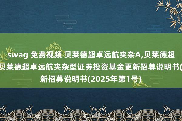 swag 免费视频 贝莱德超卓远航夹杂A,贝莱德超卓远航夹杂C: 贝莱德超卓远航夹杂型证券投资基金更新招募说明书(2025年第1号)