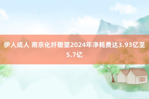伊人成人 南京化纤瞻望2024年净耗费达3.93亿至5.7亿