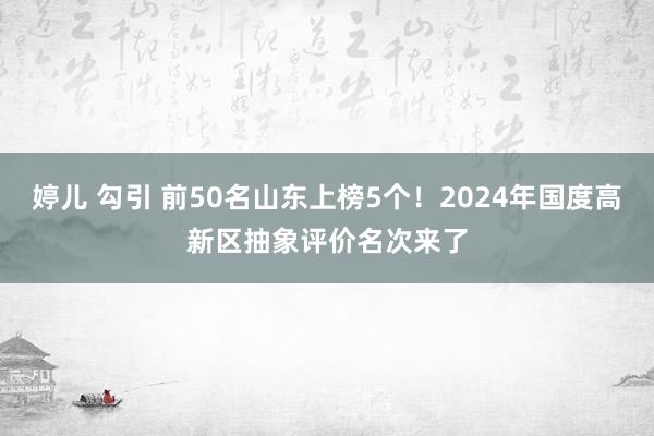 婷儿 勾引 前50名山东上榜5个！2024年国度高新区抽象评价名次来了
