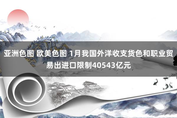 亚洲色图 欧美色图 1月我国外洋收支货色和职业贸易出进口限制40543亿元