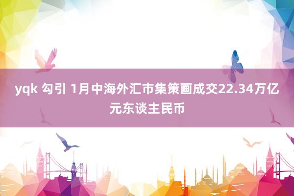 yqk 勾引 1月中海外汇市集策画成交22.34万亿元东谈主民币