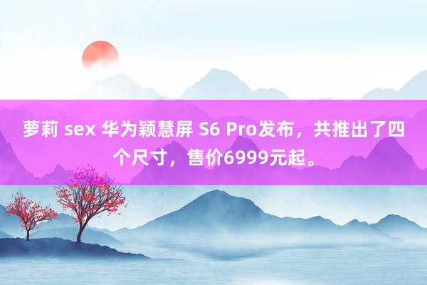 萝莉 sex 华为颖慧屏 S6 Pro发布，共推出了四个尺寸，售价6999元起。