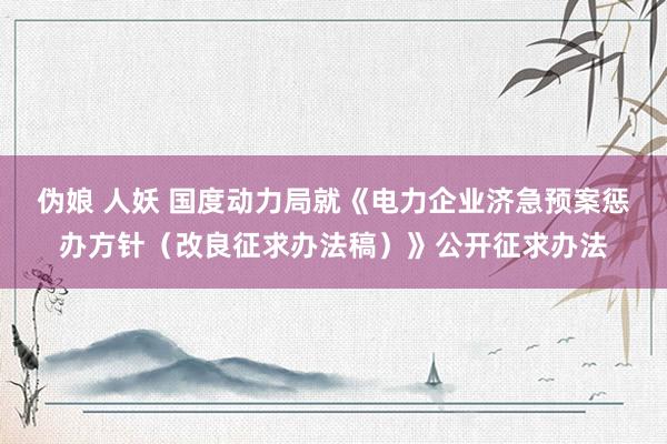 伪娘 人妖 国度动力局就《电力企业济急预案惩办方针（改良征求办法稿）》公开征求办法