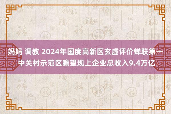 妈妈 调教 2024年国度高新区玄虚评价蝉联第一 中关村示范区瞻望规上企业总收入9.4万亿