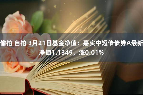 偷拍 自拍 3月21日基金净值：嘉实中短债债券A最新净值1.1349，涨0.01%