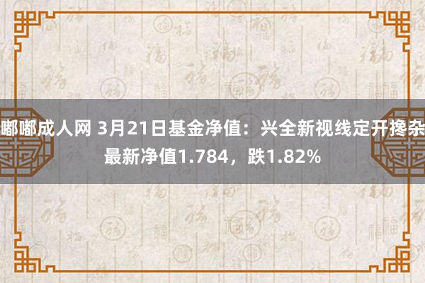 嘟嘟成人网 3月21日基金净值：兴全新视线定开搀杂最新净值1.784，跌1.82%