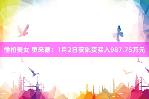 偷拍美女 奥来德：1月2日获融资买入987.75万元
