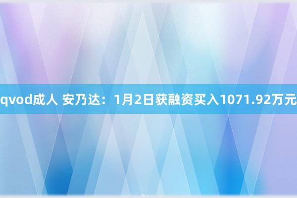 qvod成人 安乃达：1月2日获融资买入1071.92万元