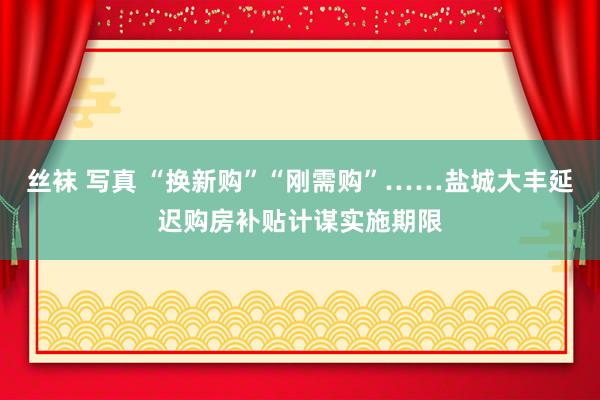 丝袜 写真 “换新购”“刚需购”……盐城大丰延迟购房补贴计谋实施期限