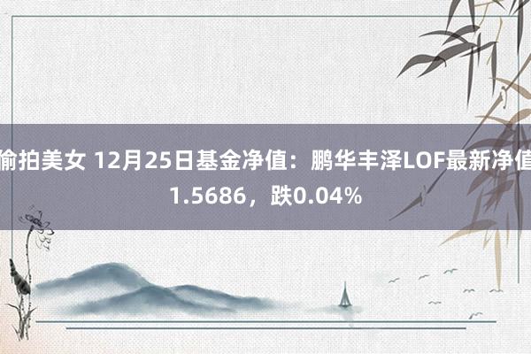 偷拍美女 12月25日基金净值：鹏华丰泽LOF最新净值1.5686，跌0.04%
