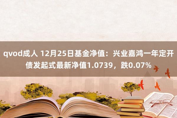 qvod成人 12月25日基金净值：兴业嘉鸿一年定开债发起式最新净值1.0739，跌0.07%