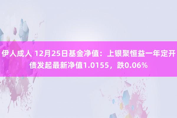 伊人成人 12月25日基金净值：上银聚恒益一年定开债发起最新净值1.0155，跌0.06%