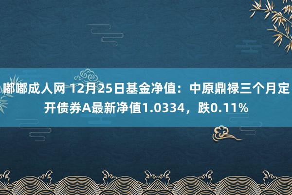 嘟嘟成人网 12月25日基金净值：中原鼎禄三个月定开债券A最新净值1.0334，跌0.11%