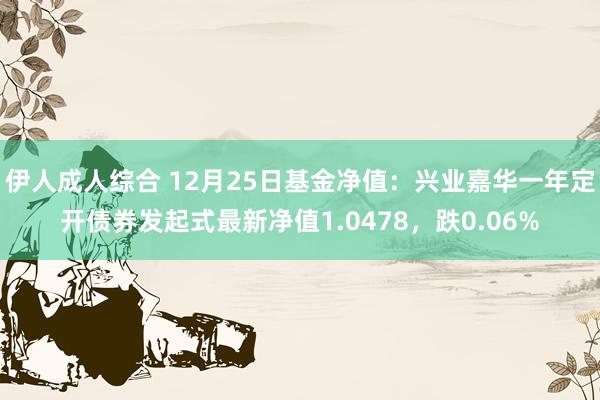 伊人成人综合 12月25日基金净值：兴业嘉华一年定开债券发起式最新净值1.0478，跌0.06%