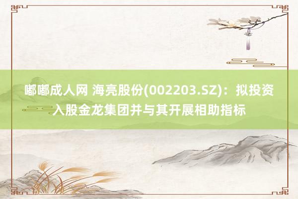 嘟嘟成人网 海亮股份(002203.SZ)：拟投资入股金龙集团并与其开展相助指标