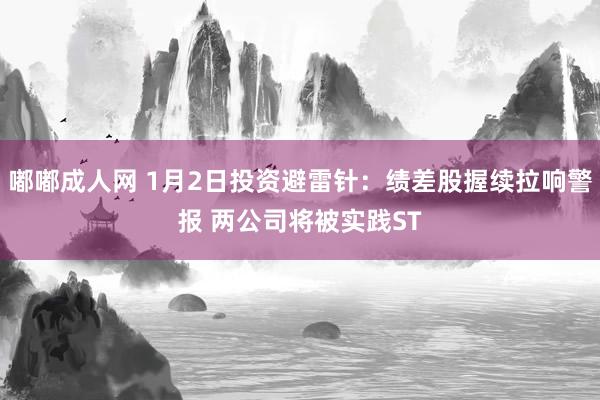 嘟嘟成人网 1月2日投资避雷针：绩差股握续拉响警报 两公司将被实践ST