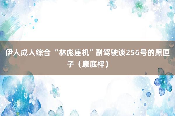 伊人成人综合 “林彪座机”副驾驶谈256号的黑匣子（康庭梓）