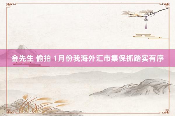 金先生 偷拍 1月份我海外汇市集保抓踏实有序