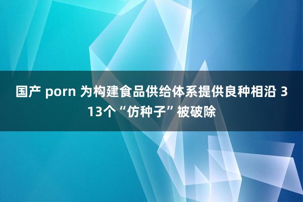 国产 porn 为构建食品供给体系提供良种相沿 313个“仿种子”被破除