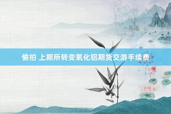 偷拍 上期所转变氧化铝期货交游手续费