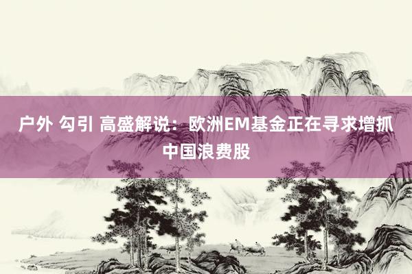 户外 勾引 高盛解说：欧洲EM基金正在寻求增抓中国浪费股