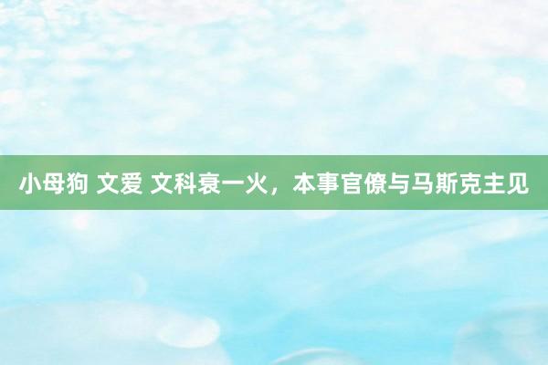 小母狗 文爱 文科衰一火，本事官僚与马斯克主见